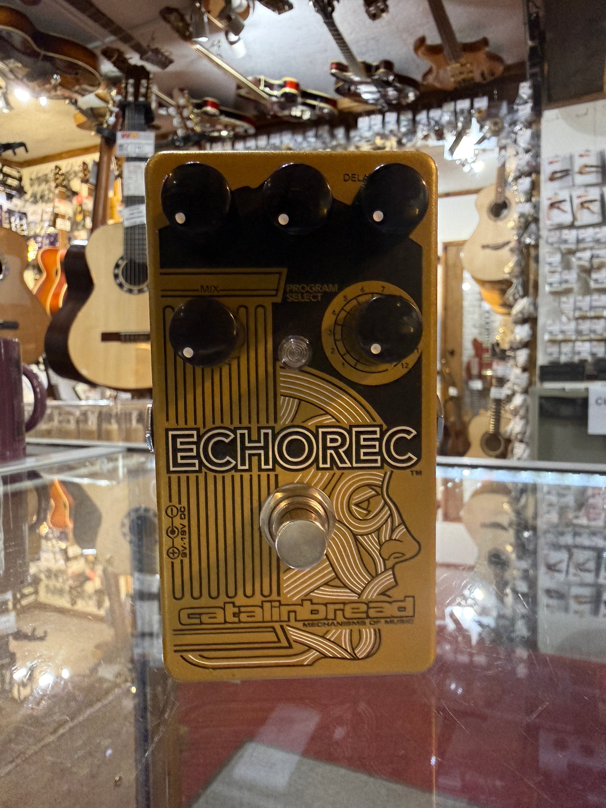 Catalinbread EchoRec Delay Pedal (Pre-Owned)
