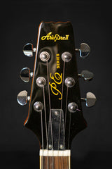 Aria Pro II PE-350 PG Electric Guitar - Electric Guitars - Aria