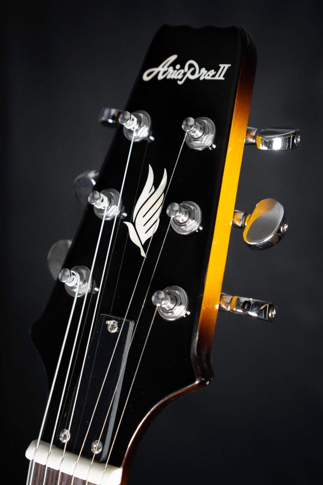 Aria TA-Classic Semi Hollow Archtop Guitar - Semi-Hollow - Aria