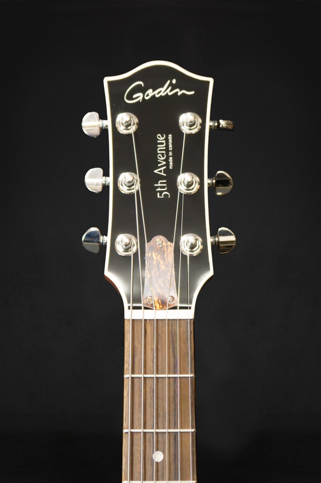 Godin 5th Avenue P90 Kingpin Hollow Body - Hollow Body - Godin