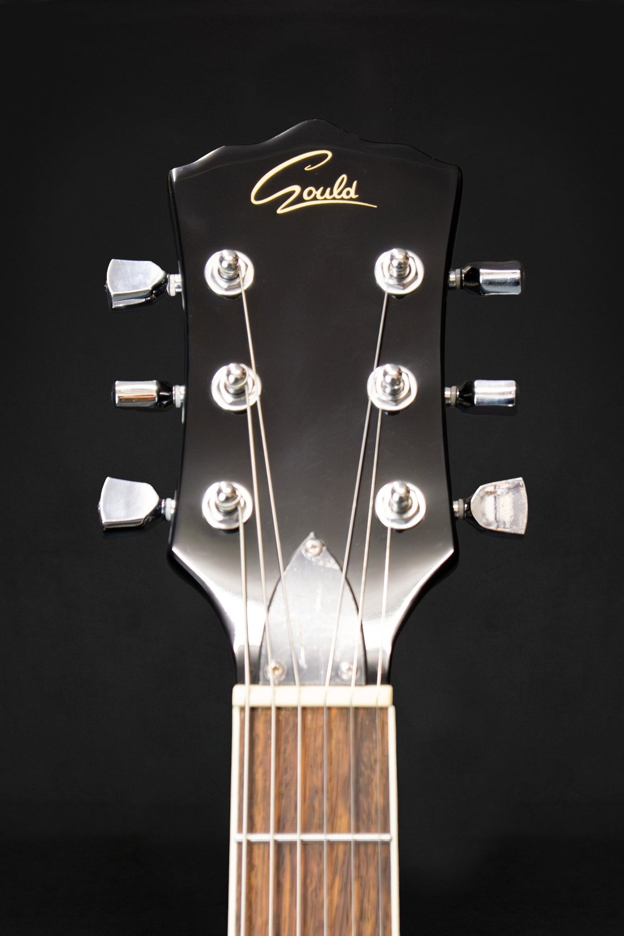 Gould Lexington Black Top Electric Guitar - Electric Guitars - Gould