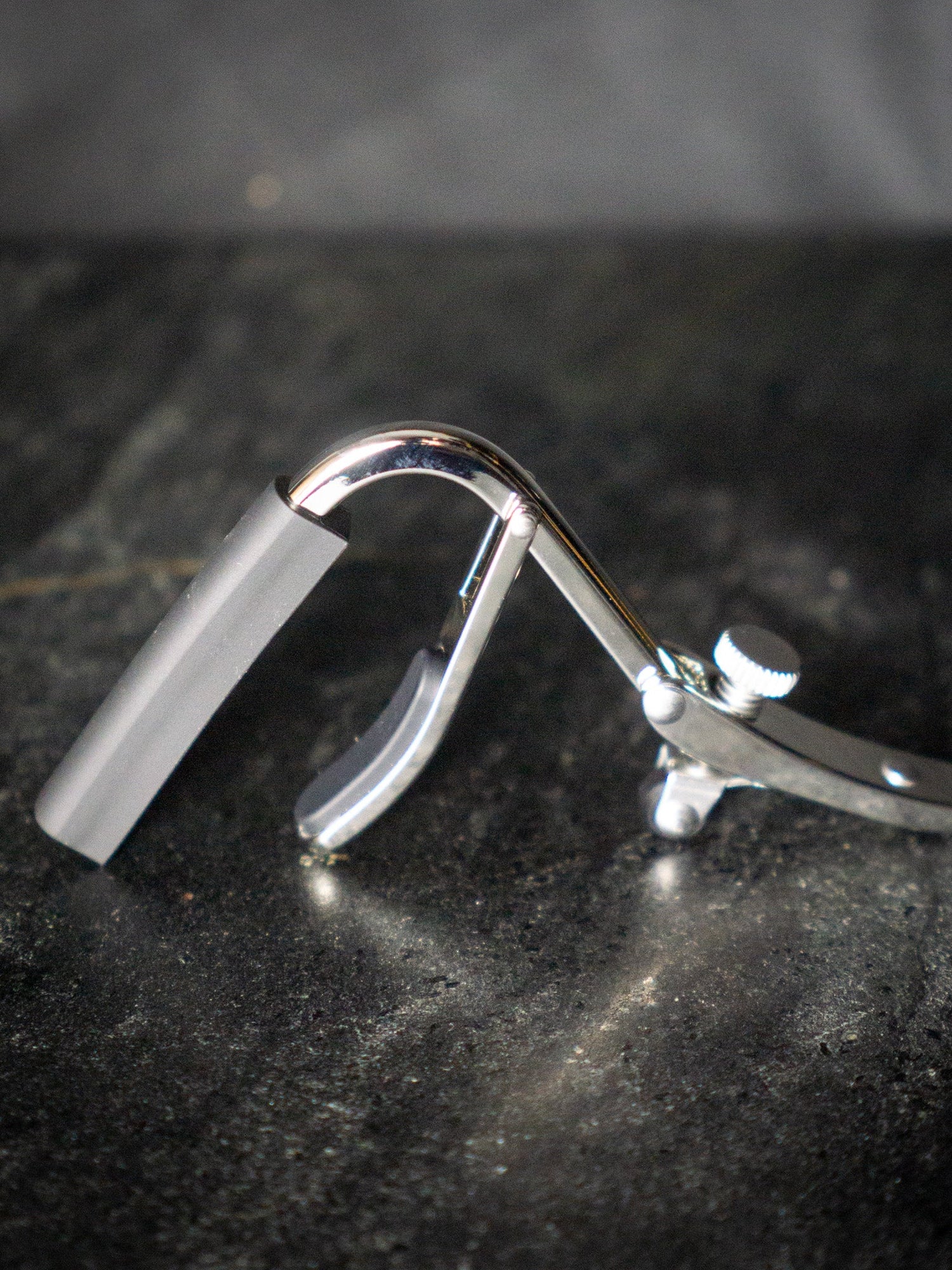 Shubb C1 Standard Steel String Capo - Capos - Shubb