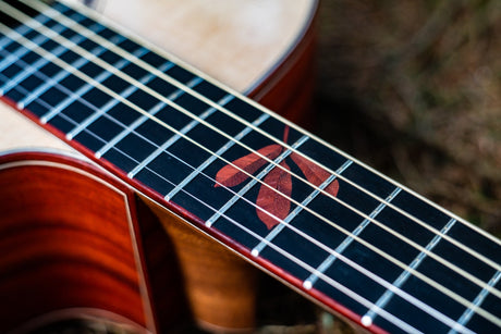 Spruce vs. Cedar: Exploring the Differences in Acoustic Guitar Tone - WM Guitars