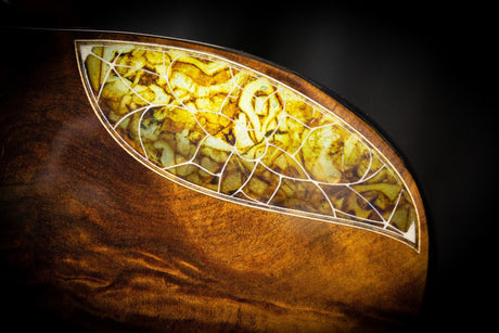 The Turkowiak S-Wave Resonator – What Is It? - WM Guitars