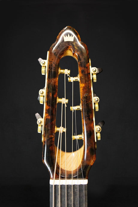Why Use Timbers Like Magnolia and Then Chemically Harden It? - WM Guitars