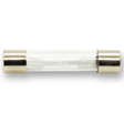 2 Amp Glass Fuse - Parts - WM Guitars