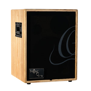 ORTEGA CONE ASH Acoustic Amplifier Combo