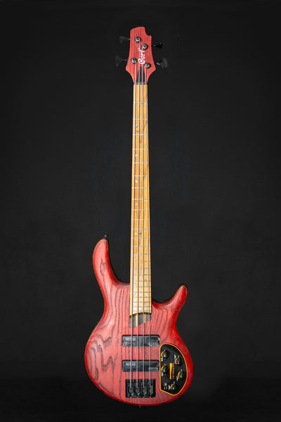 Cort B4 Element - Open Pore Burgundy Red