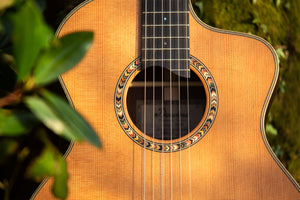wm-guitars-devon-ashburton-guitar-shop-dowina-ceres-hce-hybrid-nylon-acoustic-guitar