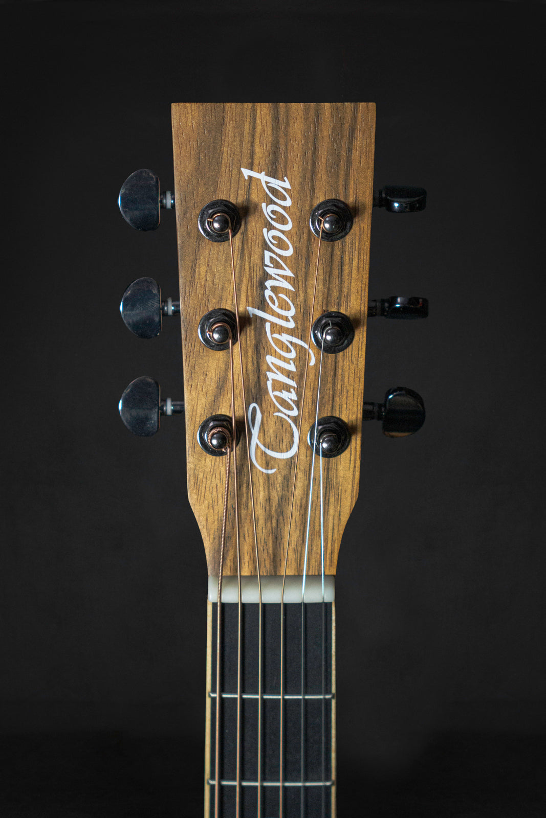 Tanglewood TRSF CE PW