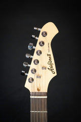 Aria Pro II TEG-002 Electric Guitar (Black w/ Tortoise Pickguard) - Electric Guitars - Aria