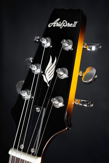 Aria TA-Classic Semi Hollow Archtop Guitar - Semi-Hollow - Aria