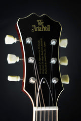 Aria TA-Domino Semi Hollow Archtop Guitar - Semi-Hollow - Aria
