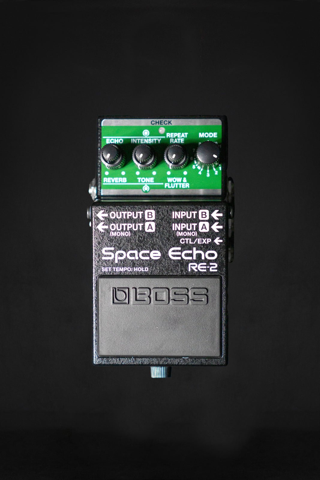 Boss Space Echo Pedal RE2 WM Guitars