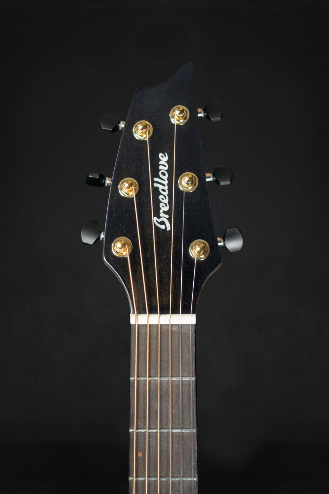 Breedlove Performer Pro Series Concert Thinline Aged Toner CE - Acoustic Guitars - Breedlove