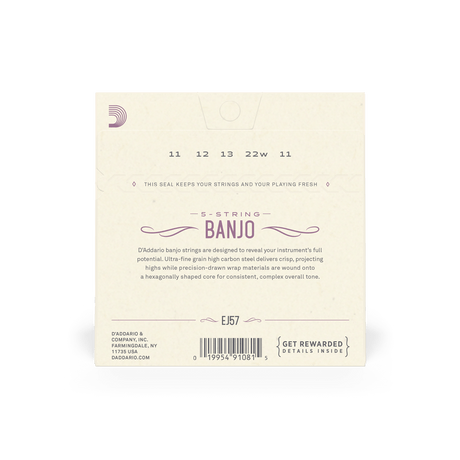 D'Addario Banjo 5 String Nickel Plated Steel Custom Medium - Banjo Strings - D'Addario