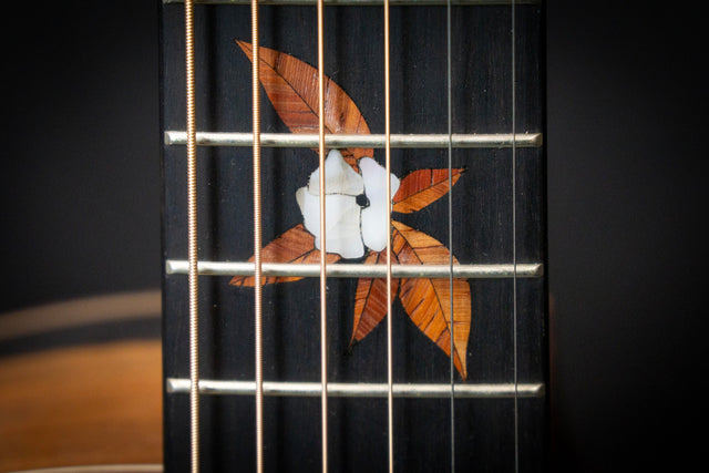 Dowina Ebony X GAC Master Series Acoustic Guitar (Cedar & Ebony) - Acoustic Guitars - Dowina