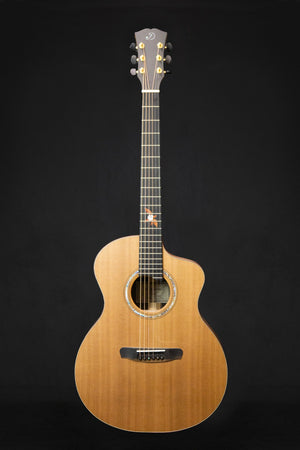 Dowina Ebony X GAC Master Series Acoustic Guitar (Cedar & Ebony) - Acoustic Guitars - Dowina