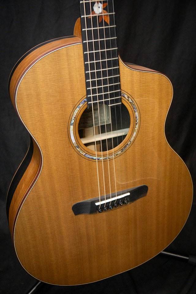 Dowina Ebony X GAC Master Series Acoustic Guitar (Cedar & Ebony) - Acoustic Guitars - Dowina