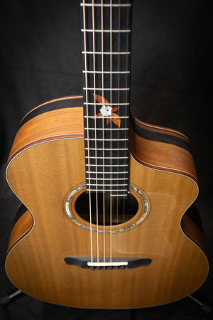 Dowina Ebony X GAC Master Series Acoustic Guitar (Cedar & Ebony) - Acoustic Guitars - Dowina