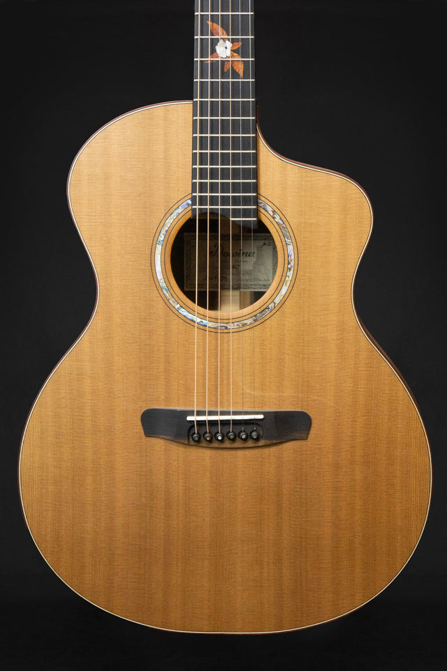 Dowina Ebony X GAC Master Series Acoustic Guitar (Cedar & Ebony) - Acoustic Guitars - Dowina