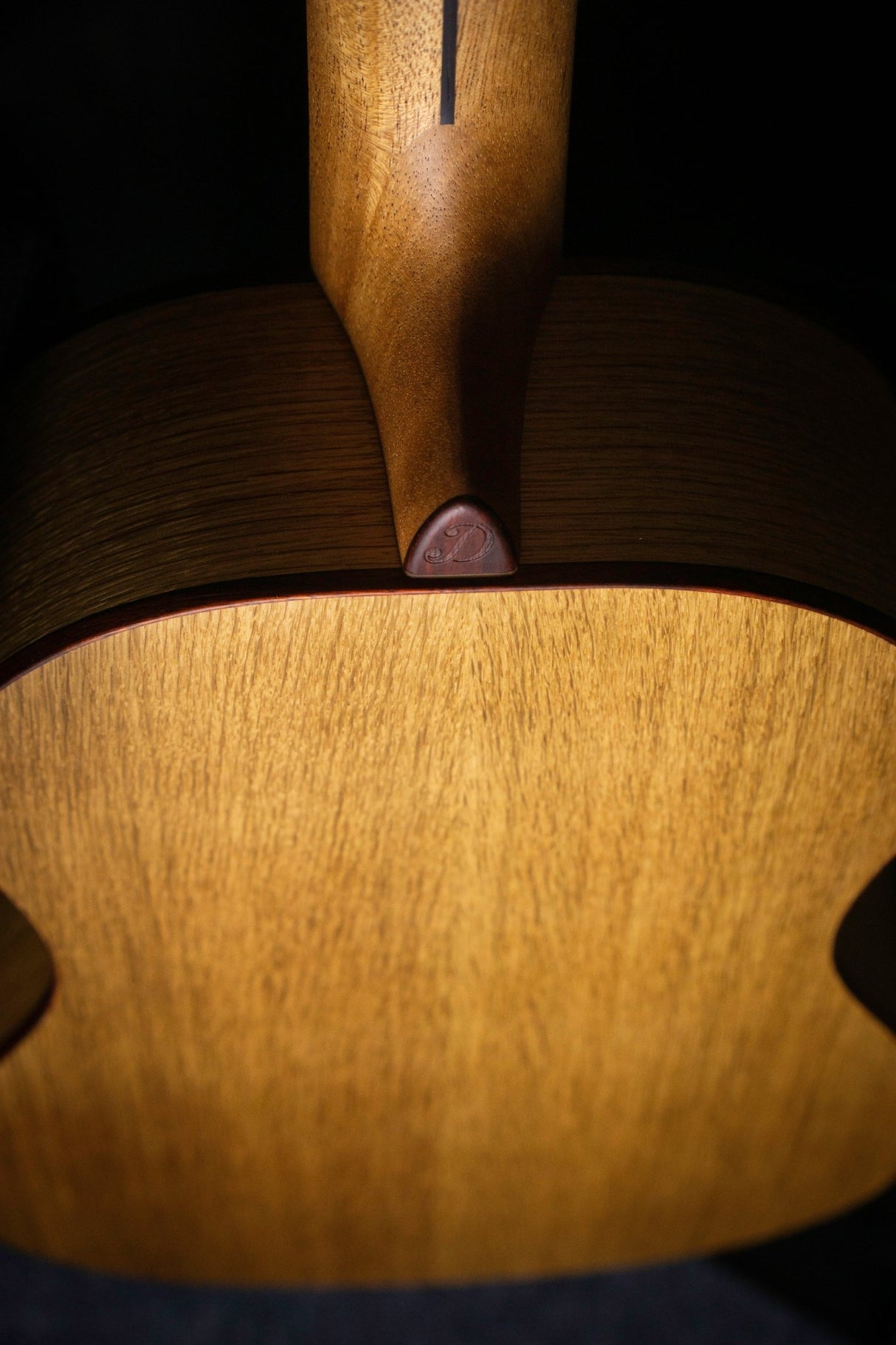 Dowina Master Series Dub Bona Vida (Oak and Swiss Spruce) - Acoustic Guitars - Dowina