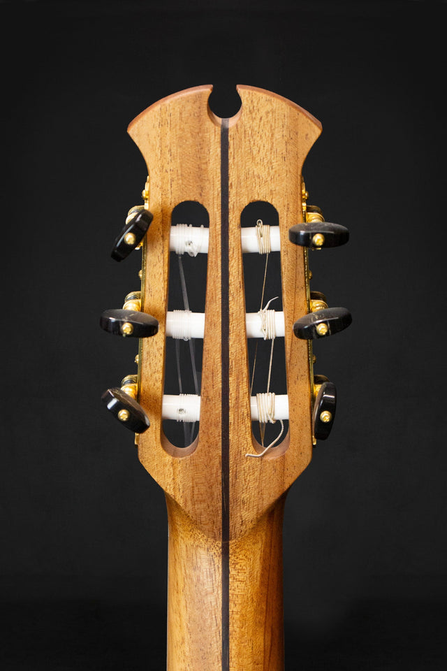 Dowina Padauk HC Master Series Hybrid Guitar (Thermo Cured Swiss Spruce & Padauk) - Acoustic Guitars - Dowina
