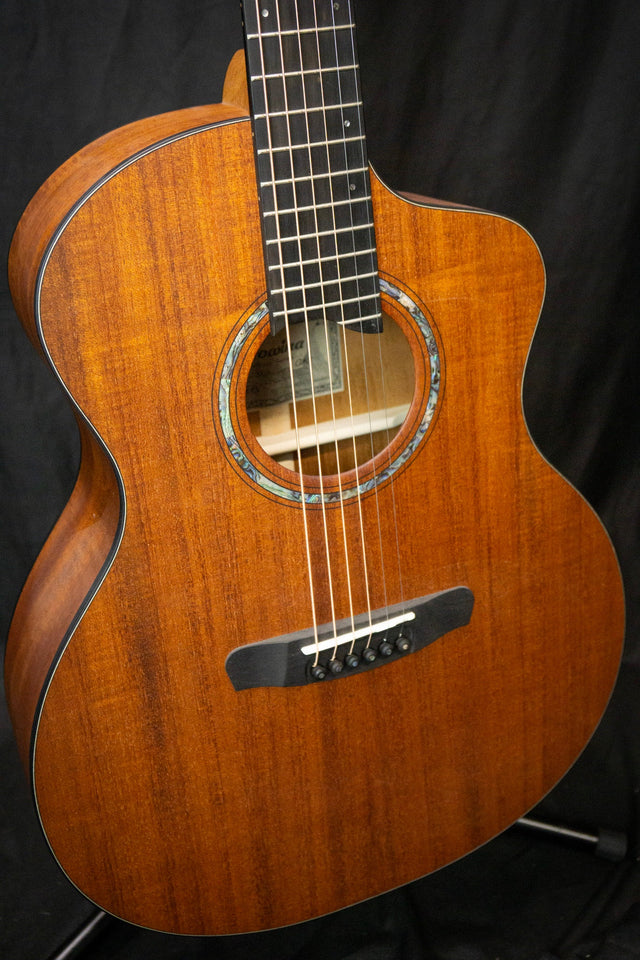 Dowina Tribute to Mahogany GAC Tribute Series Acoustic Guitar (All Mahogany) - Acoustic Guitars - Dowina