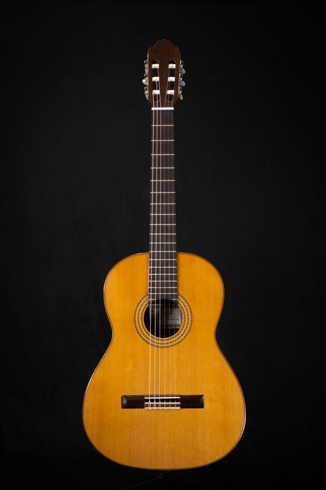 Esteve 3Z Handmade Classical Guitar - Classical Guitars - Esteve