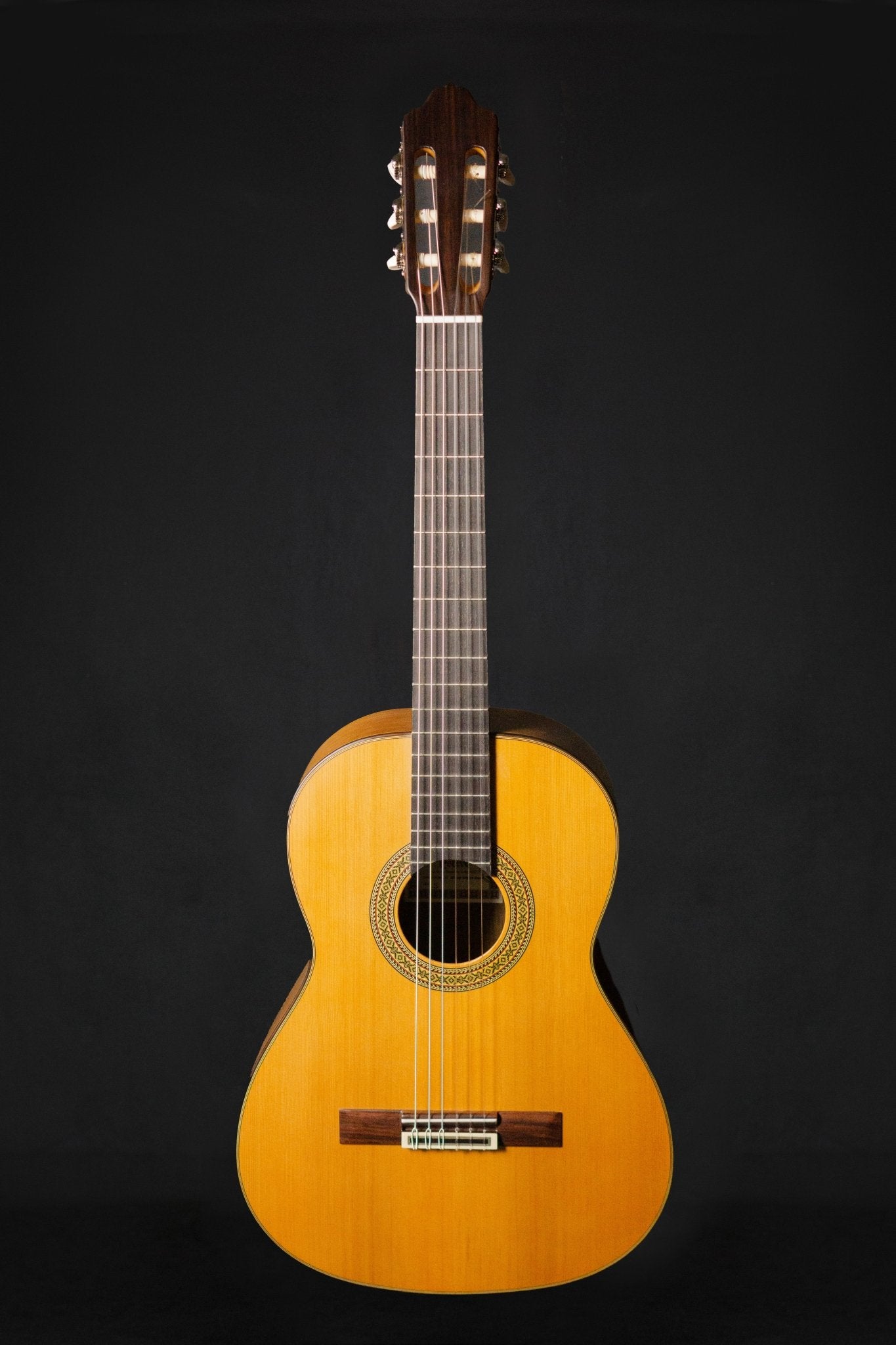 Mayson Luthier Series M5 SCE Acoustic Guitar – WM Guitars