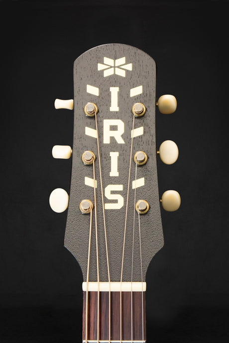 Iris AB Natural Model Small Jumbo Acoustic Guitar - Acoustic Guitars - Iris