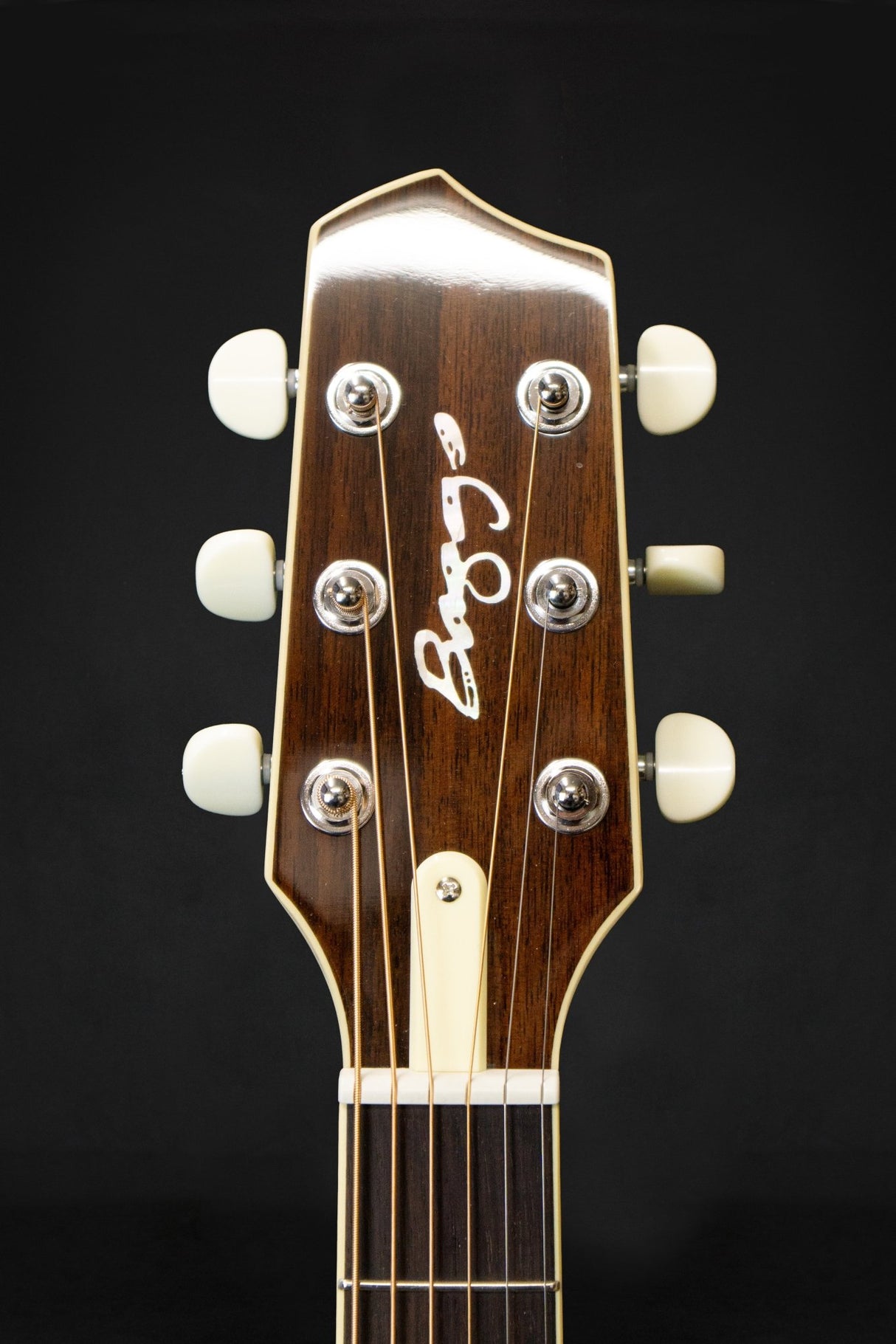 LR Baggs AEG - 1 Electro - Acoustic Guitar - Acoustic Guitars - LR Baggs