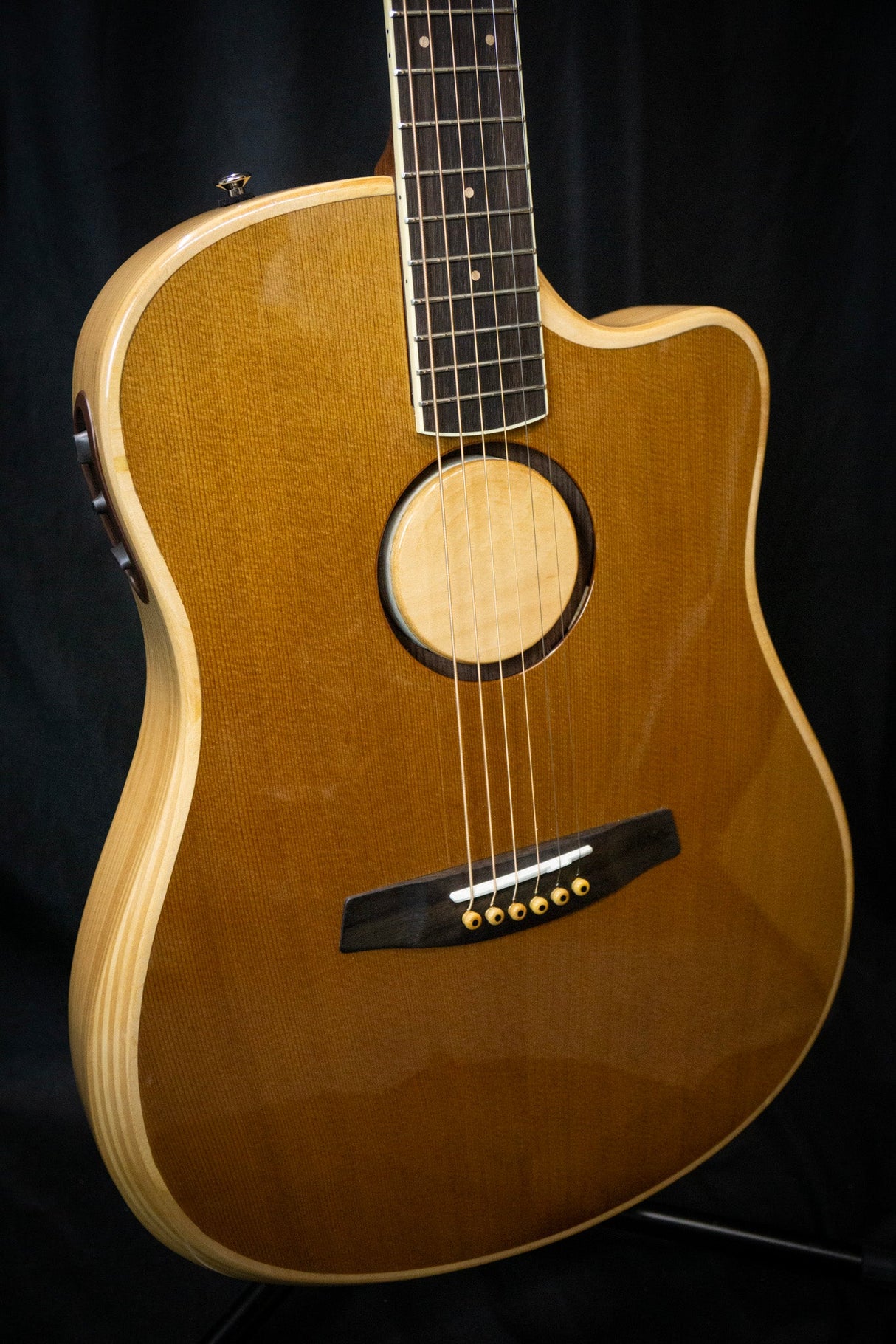 LR Baggs AEG - 1 Electro - Acoustic Guitar - Acoustic Guitars - LR Baggs