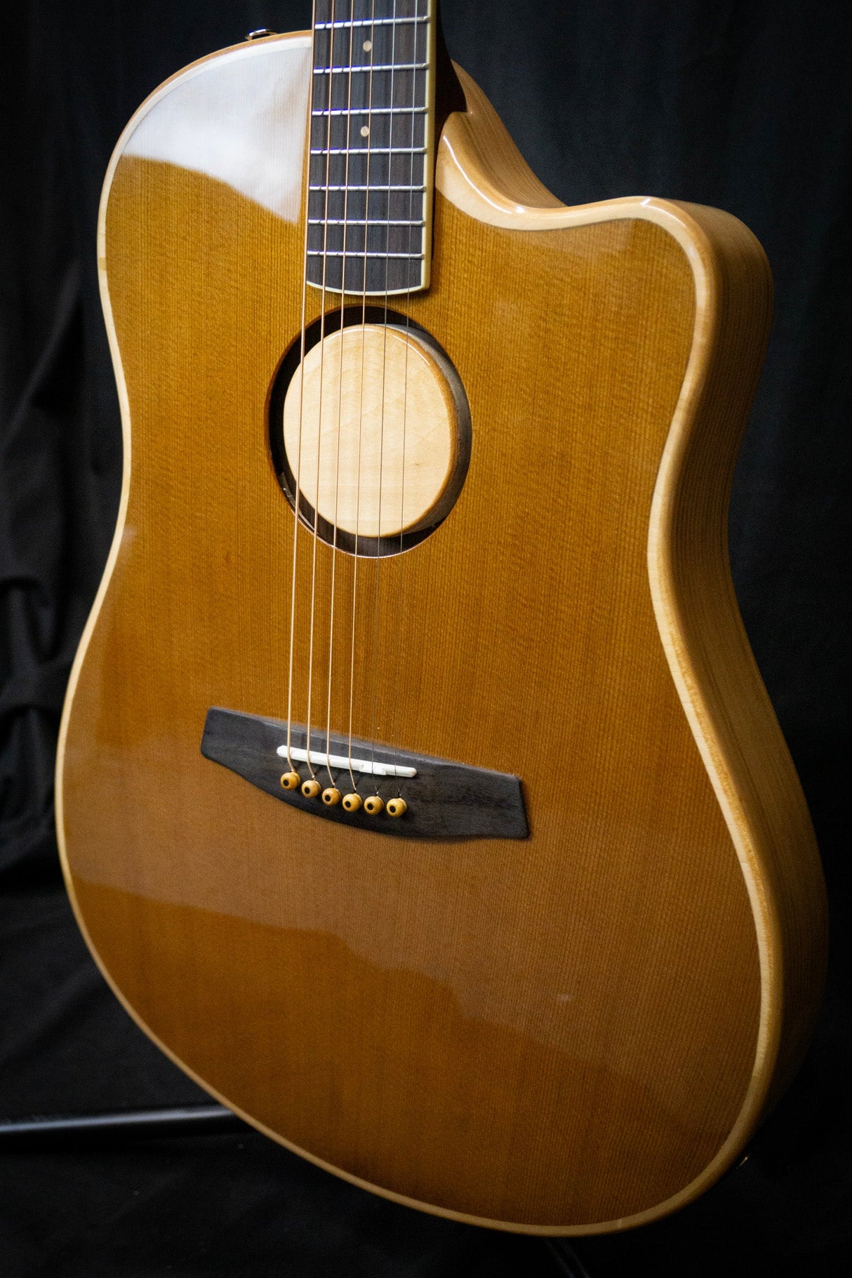 LR Baggs AEG - 1 Electro - Acoustic Guitar - Acoustic Guitars - LR Baggs