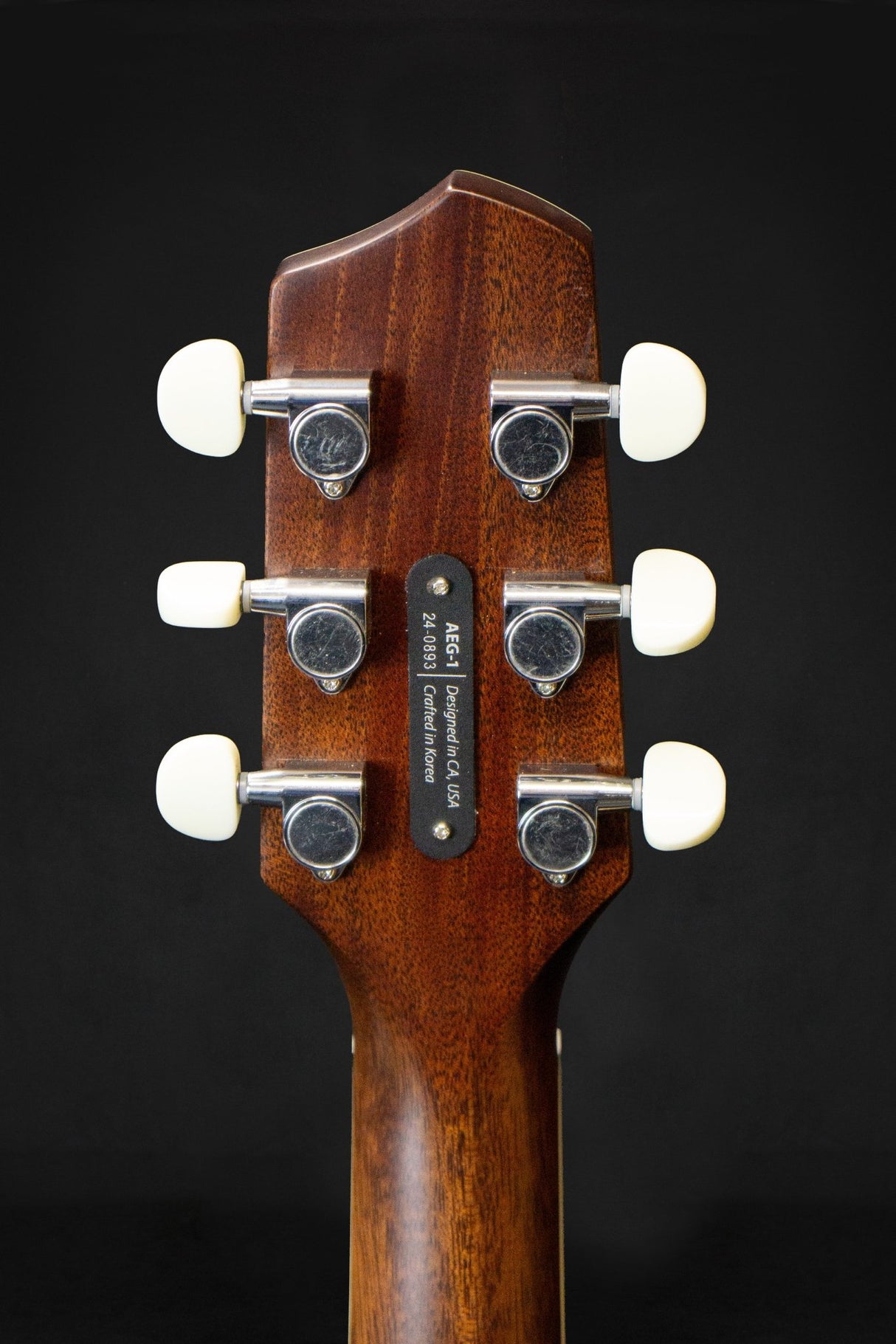 LR Baggs AEG - 1 Electro - Acoustic Guitar - Acoustic Guitars - LR Baggs