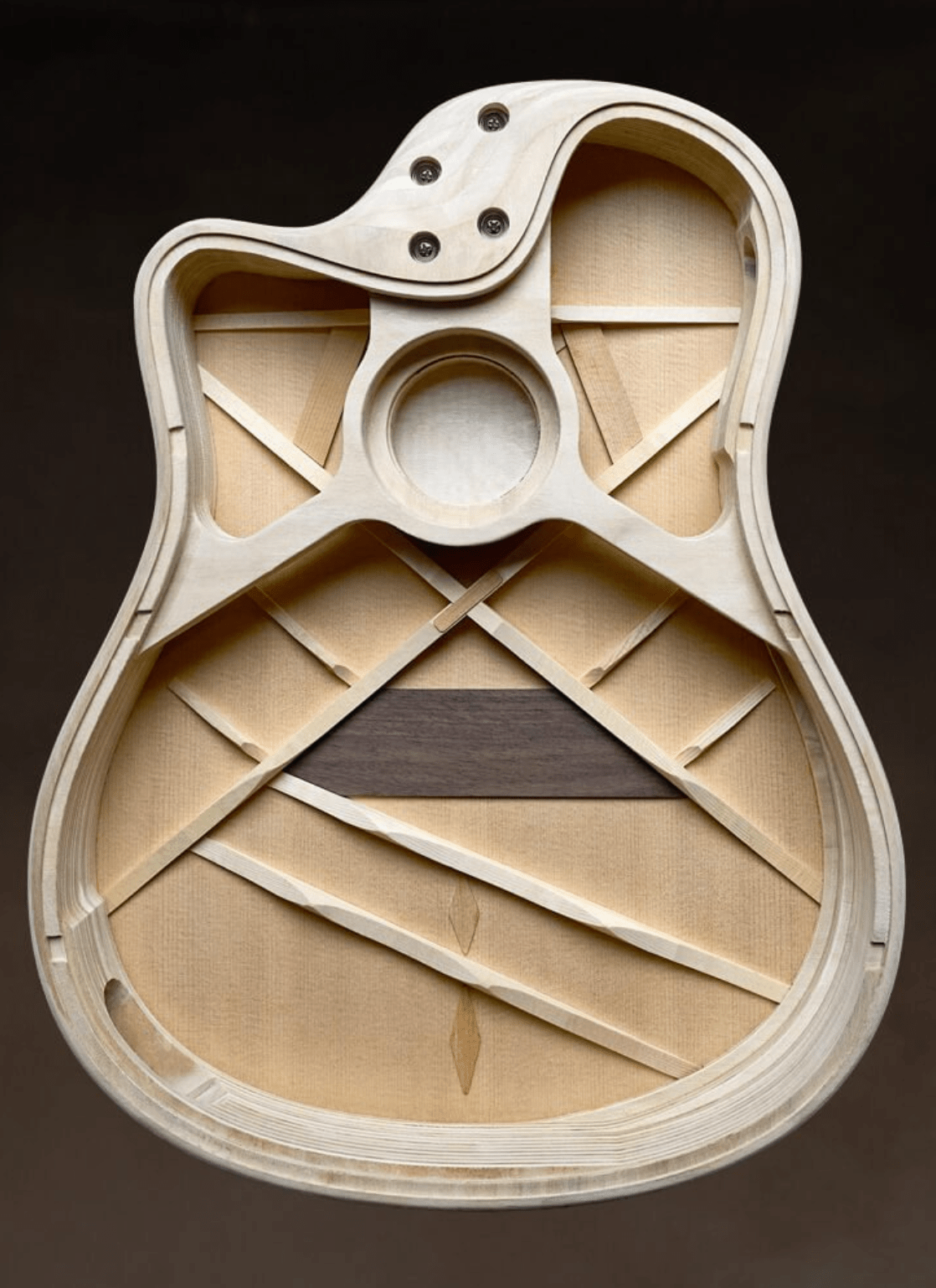 LR Baggs AEG - 1 Electro - Acoustic Guitar - Acoustic Guitars - LR Baggs