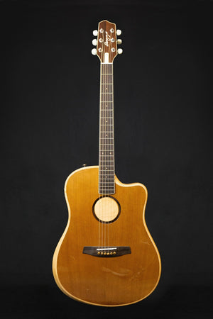 LR Baggs AEG - 1 Electro - Acoustic Guitar - Acoustic Guitars - LR Baggs