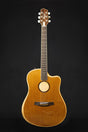 LR Baggs AEG - 1 Electro - Acoustic Guitar - Acoustic Guitars - LR Baggs