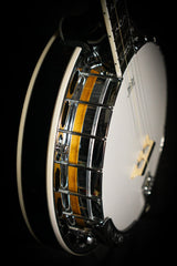 Ozark 5 String Banjo - Banjo - Ozark