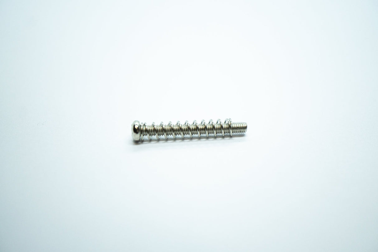 Pickup Screws & Springs (Nickel) x 2 - WM Guitars