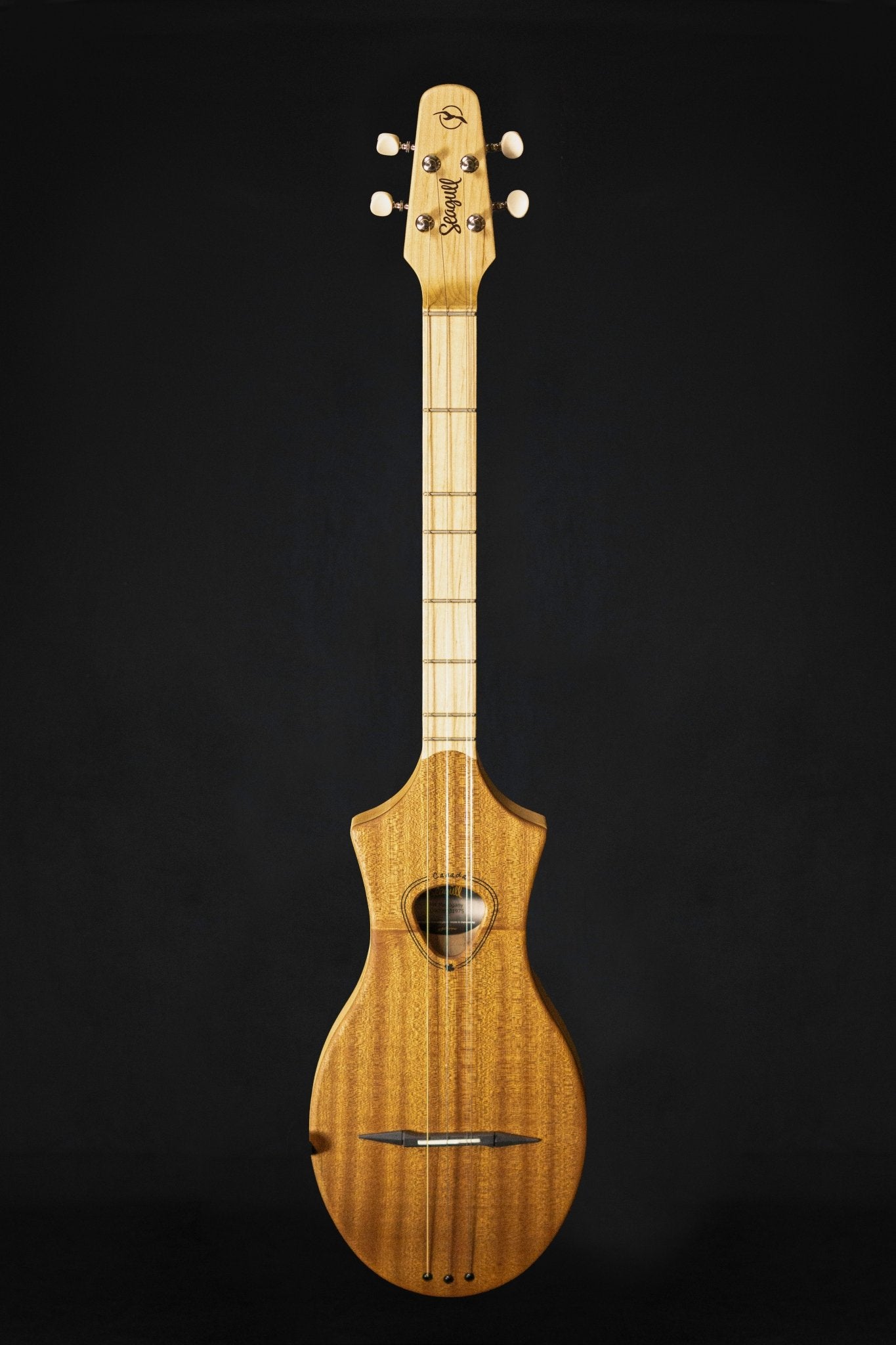 Aria Classical | WM Guitars