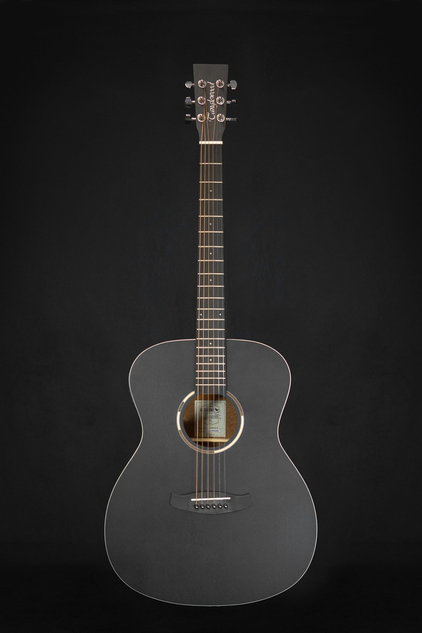 Tanglewood Blackbird TWBB OE Electro Acoustic Guitar WM Guitars