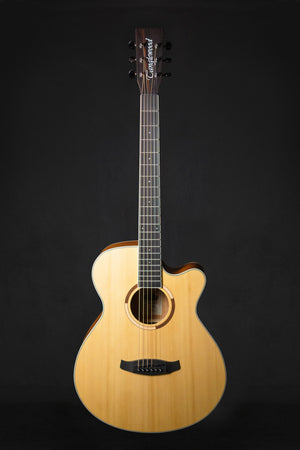 Electro-Acoustic