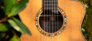 wm-guitars-devon-ashburton-guitar-shop-dowina-ceres-hce-hybrid-nylon-acoustic-guitar