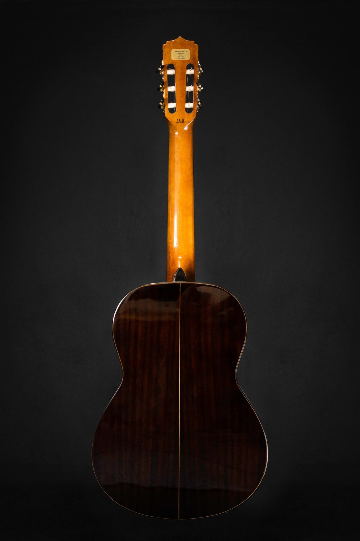 Aria A30S Classical Guitar Full Body Back