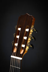 Aria A30S Classical Guitar Headstock Front