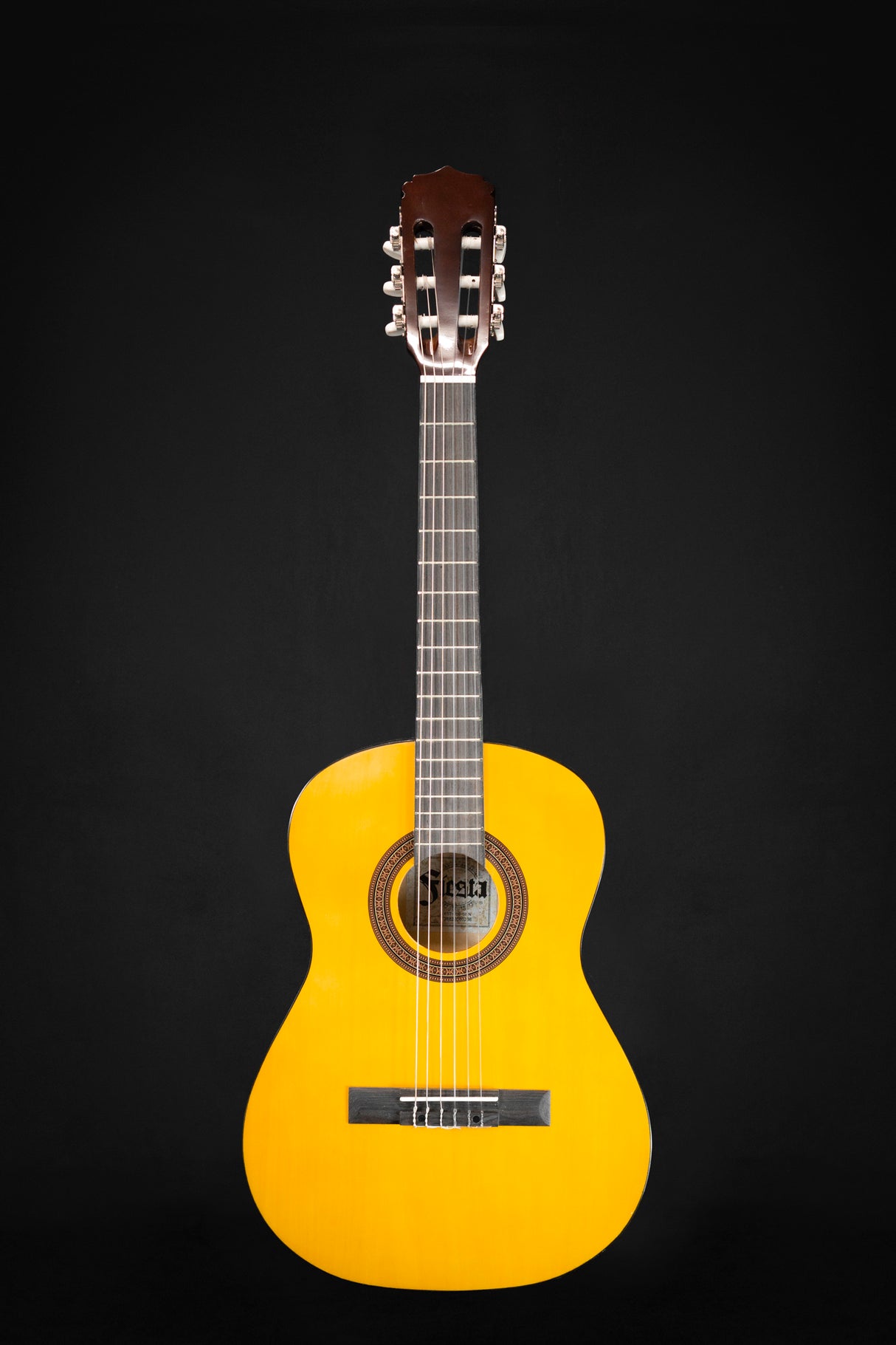 Aria Fiesta 3/4 Classical Guitar Full Body Front