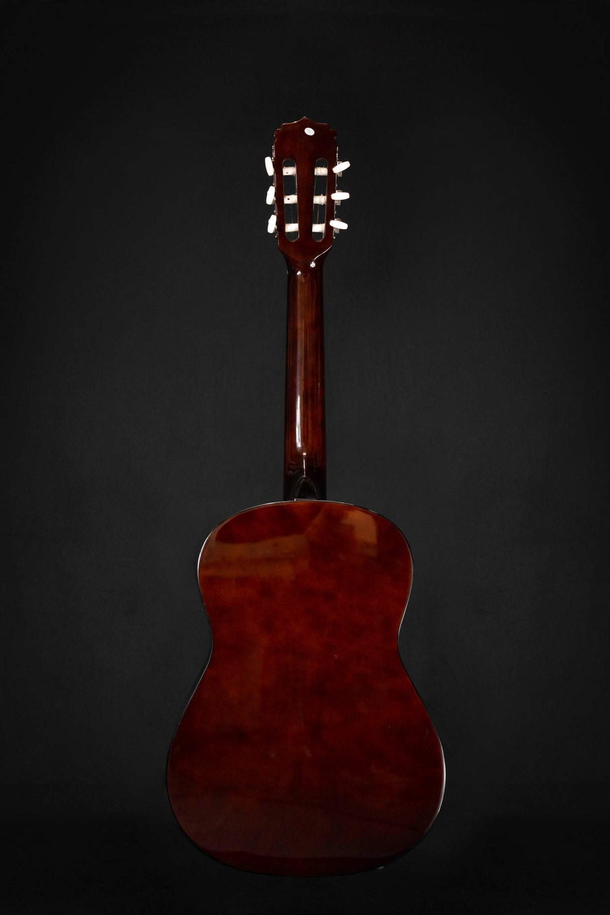 Aria Fiesta 3/4 Classical Guitar Full Body Back