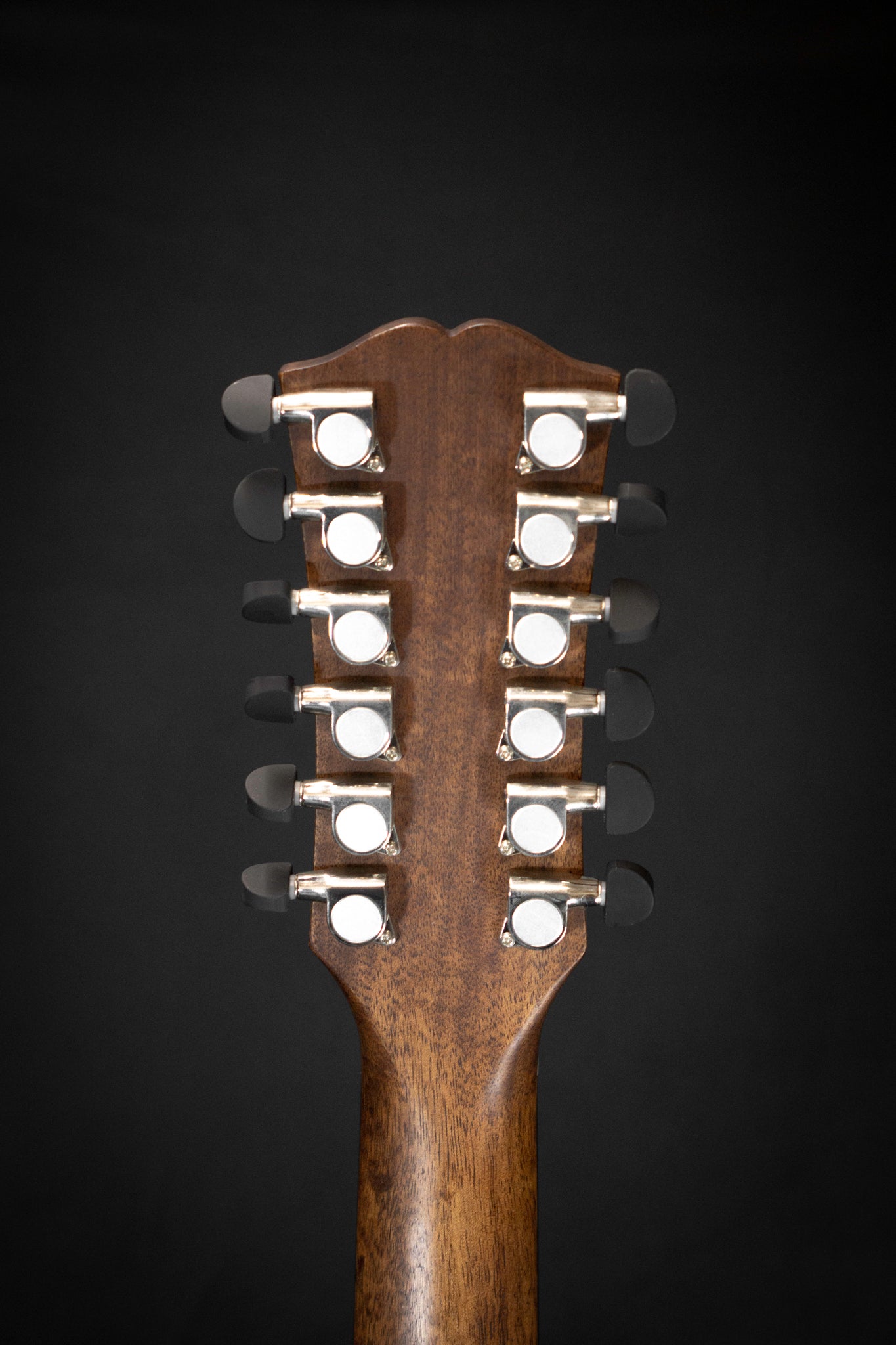 Dowina Scetis DE 12 s Acoustic Guitar Headstock Back