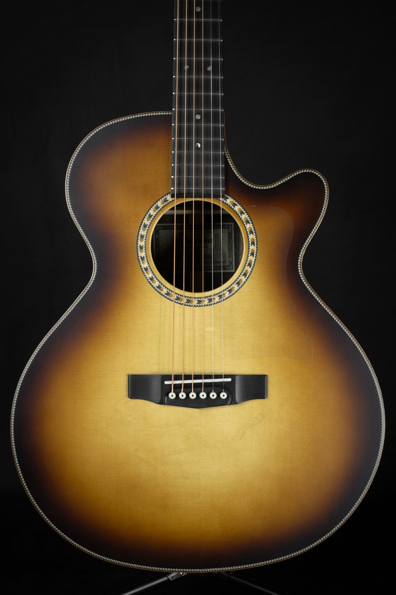 Dowina Danubius GAC Acoustic Guitar Body